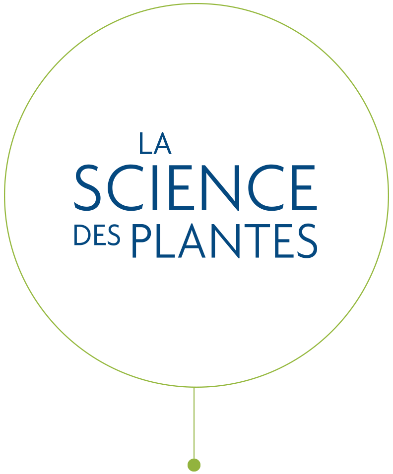 science plantes